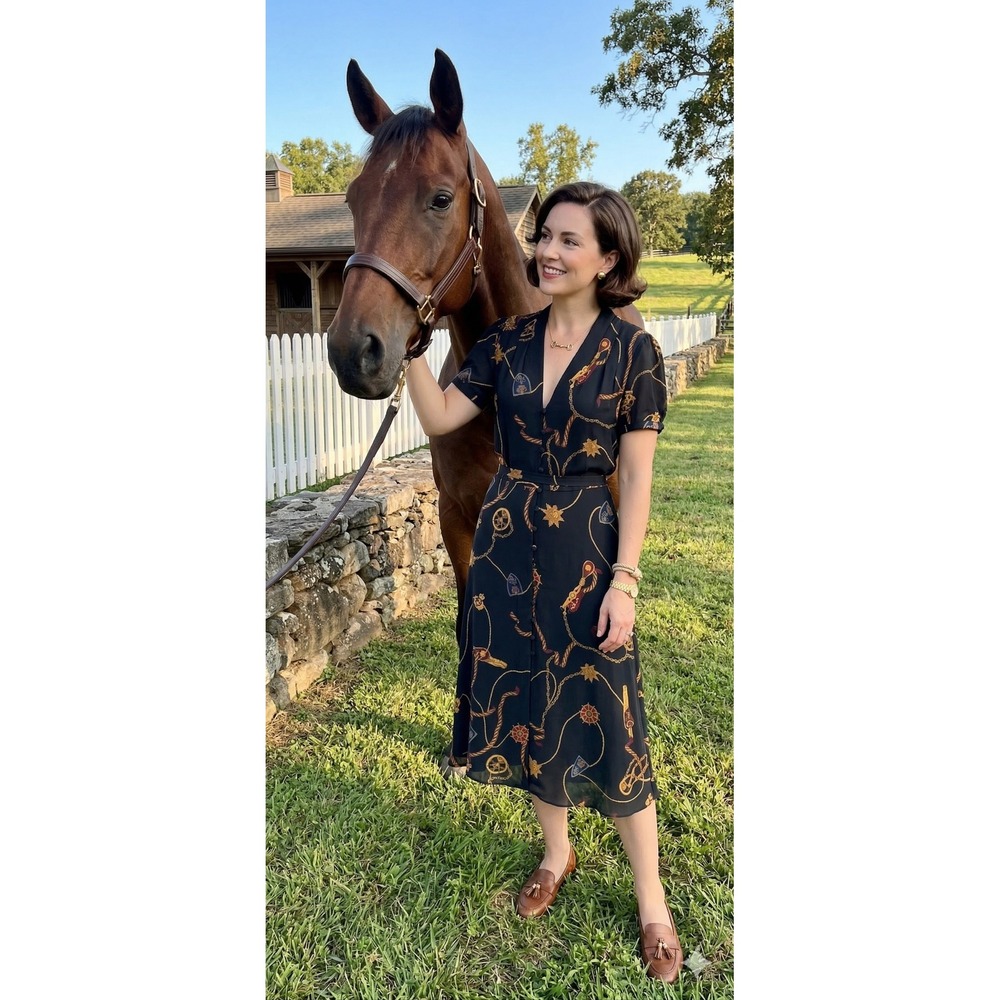 Ralph Lauren Midi Dress 14P Black Label Old Money Equestrian Preppy Chain Print
